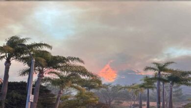 Feature Story Image